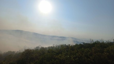 Balıkesir'de orman yangını! Zamana karşı yarış başladı - Gündem