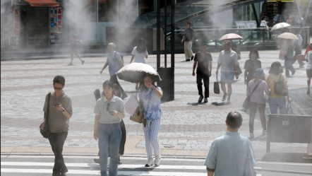 Japonya'da aşırı sıcaklarla boğuşuyor! Acı bilanço açıklandı - Dünya