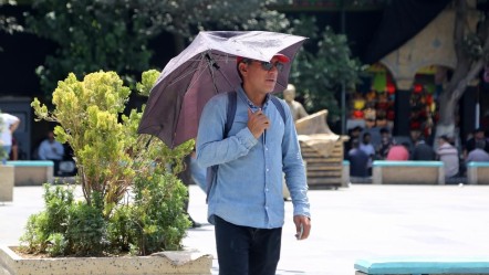 Komşuda mesaiye 'sıcak' molası! Kamu kurumları yarın tatil edildi - Dünya