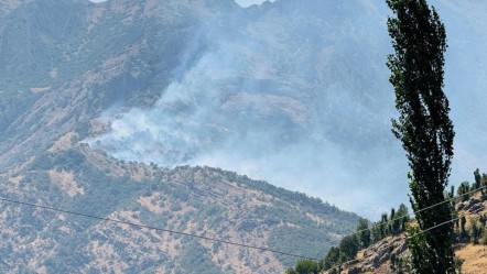 Şırnak'ta orman yangını! Alevler kontrolden çıktı - 3. Sayfa