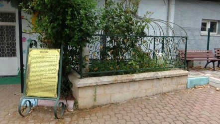 Unutulan miras… Osmanlı’nın büyük alimi Molla Arap’ın kabri sahipsiz kaldı - Kültür - Sanat