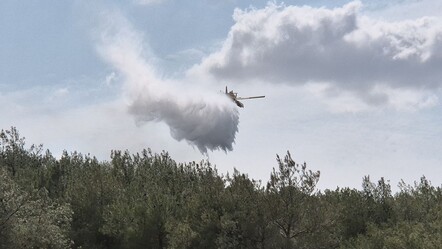 5 uçak, 3 helikopter müdahale ediyor! Edirne Keşan'da orman yangını çıktı - 3-sayfa