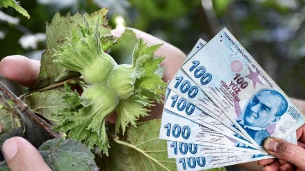 Fiyatı 200 TL olarak açıklanmıştı! Tezgahlarda 300 TL'den yerini aldı - Ekonomi