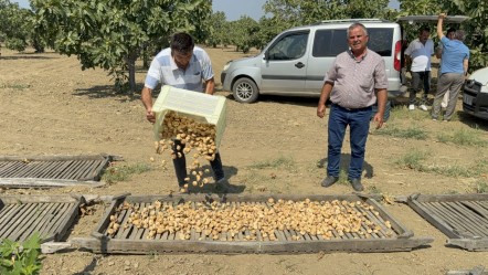 Sezonun ilk ürünü! Kilosu 400 liradan satıldı - Ekonomi