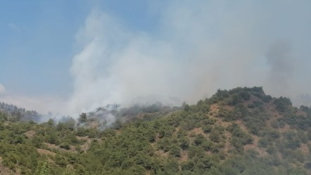 Tokat yangın son dakika: Tokat orman yangını neden çıktı? - Haberler