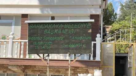 Türkiye'nin en sıcak yeri! Termometre 54 dereceyi gösterdi - Gündem