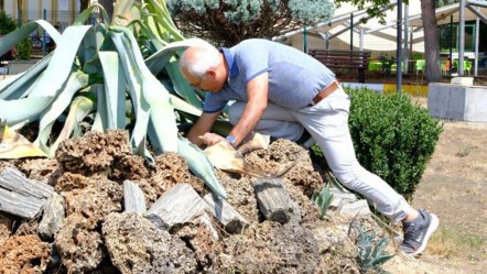 Bu an için 20 yıl beklediler! Ömrünü tamamladı: 10 ila 30 yıl arası yaşıyor - Yaşam