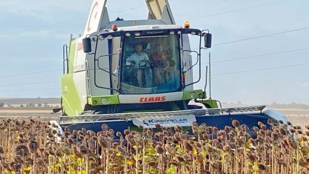Kaymakam biçerdöverin direksiyonuna geçti! Kırklareli'de hasat zamanı - Ekonomi