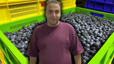 "Mavi altın" üretimiyle dünyaya açıldı! Orta Doğu ve Avrupa'ya satıyor, kilosu 500 lira - Ekonomi