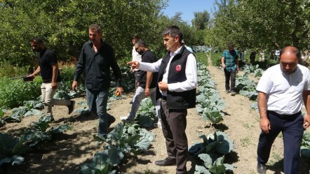 Tarlasına kurduğu sistemle 1 günlük işi 2 saatte yapıyor! Hem işçilikten hem de verimden kazandı - Ekonomi