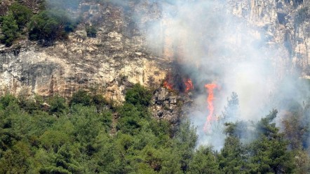 Üç kentte ormanlarımız yanıyor! Karabük, Bolu ve Çanakkale'de son durum - Gündem