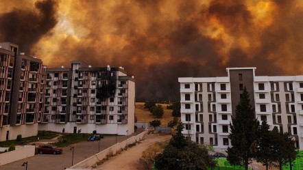 Üç kentte ormanlarımız yanıyor! Karabük, Bolu ve Çanakkale'de son durum - Gündem