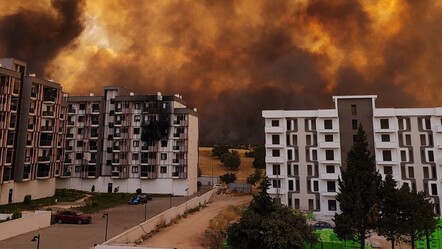 Çanakkale'de orman yangını! 4 şüpheli gözaltına alındı - gundem
