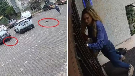 Yavru kedilerin gazabına uğradı! Genç kadının güldüren anları kamerada - Yaşam