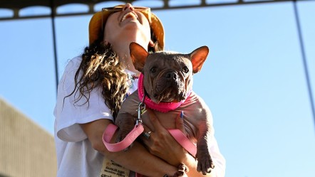 2025 yılı "Dünyanın En Çirkin Köpeği" belli oldu! İşte sahibine kazandırdığı ödül - Dünya