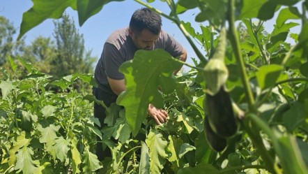 Bu iş için baba mesleğine veda etti! "Bire bin veren başka bir şey yok" - Ekonomi
