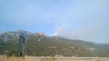 Sinop'ta orman yangını! Ekipler seferber oldu - Gündem