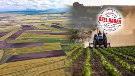 Uygulama 1 Eylül'de başlıyor! Tarla boşsa devlet kiraya verecek - Ekonomi