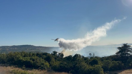 Çanakkale'de orman yangını kontrol altında - 3. Sayfa