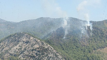 Mersin'de orman yangını çıktı! Havadan karadan müdahale ediliyor - 3. Sayfa
