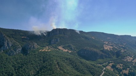 Sinop'ta orman yangını! Ekiplerin müdahalesi sürüyor - Gündem