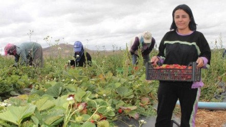 "Neden yetişmesin?" diyerek bu işe girdi! Şimdi 15 çalışanı var - Ekonomi