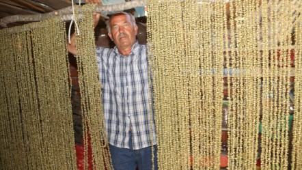 Tek tek ipe diziliyor! Doğanın narin güzelliğinde hasat başladı - Yaşam