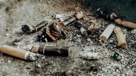 Bir sigara izmariti 55 bin liraya mal olabilir! Çöpün ise hapse kadar yolu var - Dünya