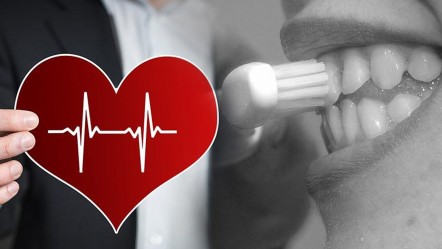 Diş fırçası kalbin anahtarı olabilir! Bu bağlantı herkesi şaşırttı - Sağlık
