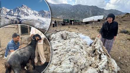 Her yıl mutlaka gidiyorlar! Toros Dağları'nda yaşayan Yörük geleneği yüzyıllardır devam ediyor - Yaşam