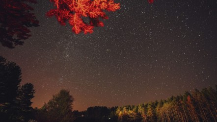 Herkes gökyüzüne kitlendi! Perseid Meteor Yağmuru nöbeti başladı - Yaşam