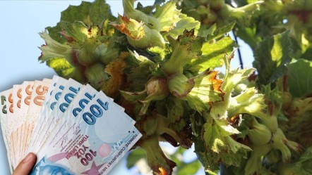 Para etmezse hayat durur! Dünyada rakipsiziz fakat... - Ekonomi