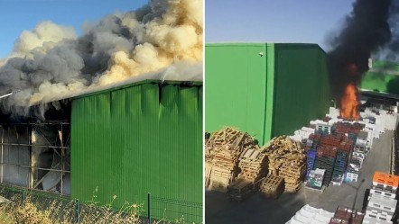 Teksüt fabrikasında yangın 2 can almıştı! O görüntüler ortaya çıktı - Gündem