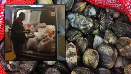 650 kilo toplayıp yurtdışına kaçırmaya çalıştılar! 2 milyonluk ceza geldi - Yaşam