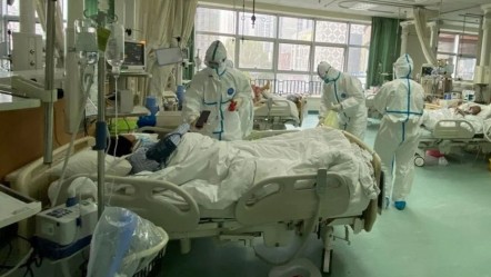 Avrupa’da görülmeye başladı! Hiçbir belirti vermeden organları yiyor - Dünya