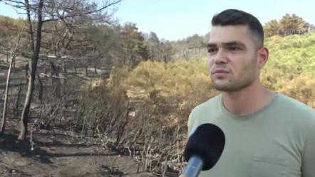 Çanakkale yangınında hayret ettiren görüntü! Dedesinden kalma arazi yanmadı, sebebi... - Gündem