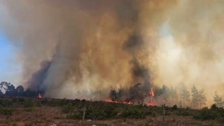Çanakkale'de bir yangın daha! Ekiplerin mücadelesi başladı - Gündem