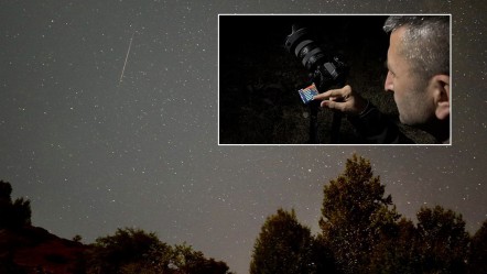 Gece saatlerinde ormana akın ettiler! "Işığın en az olduğu yerde olmak zorundayız" - Yaşam