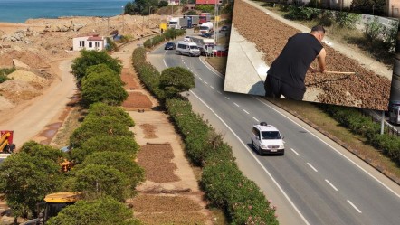 Hasat başladı, ürünler Karadeniz Sahil Yolu'nu kapladı! Kilosu 200 lira... - Ekonomi