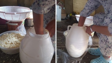 Hepsini kuma gömüyorlar! Olgunlaşması 6 ay... Almak için 3 ay önceden bildirmek gerekiyor - Ekonomi