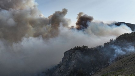 Kabus sürüyor! Mersin'de orman yangını, 3 mahalle tahliye ediliyor - Gündem