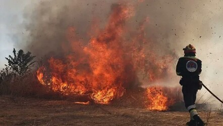 Komşuda yangın felaketi! Kundakçı yakalandı, köyler ve hastaneler tahliye ediliyor - Dünya