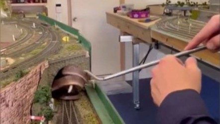 Oyuncak tren tünelinden zehirli yılan fırladı! Evde dehşet yaşandı - Dünya