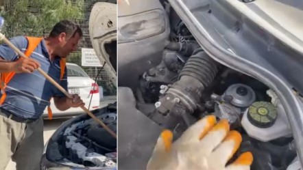 Sokak hayvanı sandılar, kendilerine ait çıktı! Hatay'da ilginç kurtarma anları kameralara yansıdı - Yaşam