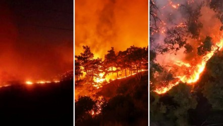 Suriye'de orman yangınları: 6 ayrı noktada alevler yükseliyor - Dünya