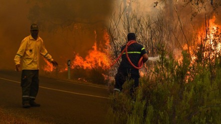 Ülke resmen kabusu yaşıyor: 500 hektarlık ormanlık alan 1 günde kül oldu! - Dünya
