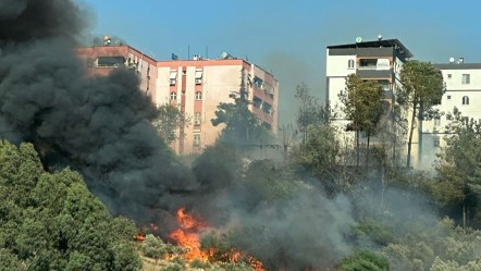 Adana'da yerleşim yerine yakın ağaçlık alanda alevler yükseldi! 112 ekipleri bölgeye intikal ediyor - 3. Sayfa