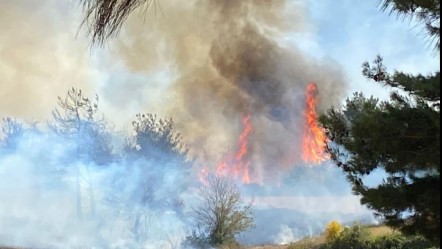 Ters alevlere yakalandı! Orman kahramanlarının zor anları kamerada - 3. Sayfa