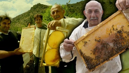 Anzer balına rakip gösteriliyor! Kovan başına 20 kilo hasat! Kilosu 800 TL'den başlıyor, 2 bin TL'ye çıkıyor - Ekonomi