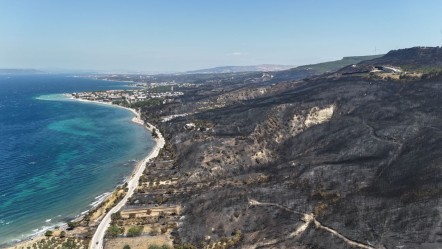 Çanakkale'de felaketin izleri: Ormanlar yok oldu, geriye sessizlik kaldı - Gündem
